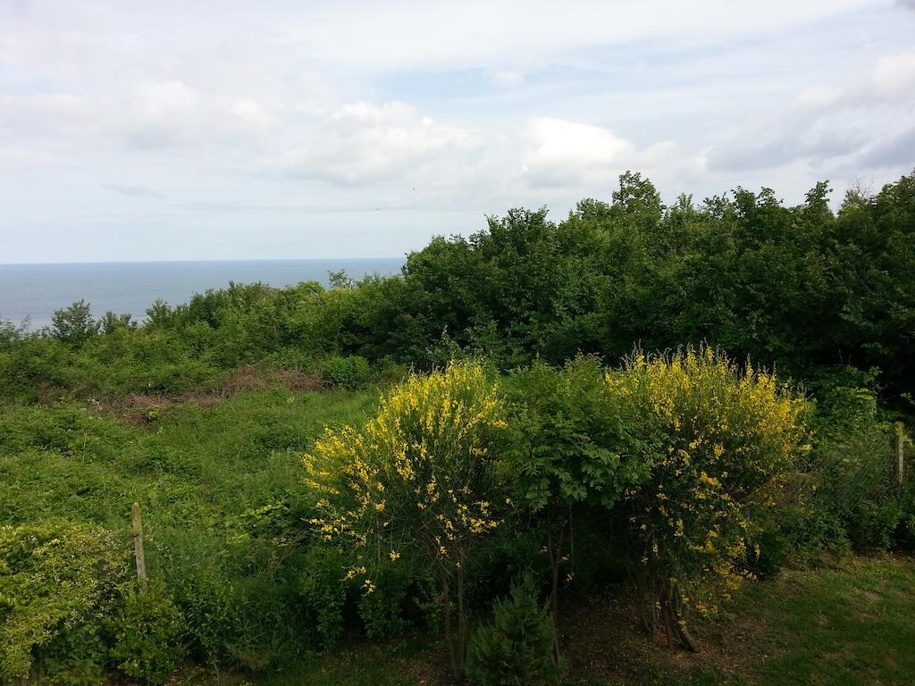 Sea View Family Hotel Kranevo Exterior photo
